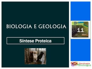 BIOLOGIA E GEOLOGIA
                       11
    Síntese Proteica
 