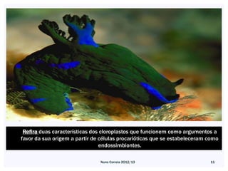 Refira duas características dos cloroplastos que funcionem como argumentos a
favor da sua origem a partir de células procarióticas que se estabeleceram como
                                endossimbiontes.

                               Nuno Correia 2012/13                        11
 