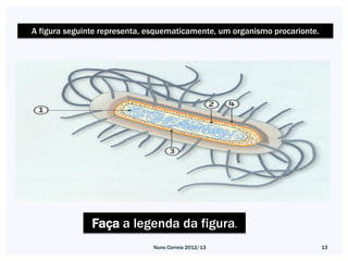 A figura seguinte representa, esquematicamente, um organismo procarionte.




               Faça a legenda da figura.
                              Nuno Correia 2012/13                          13
 