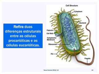 Refira duas
diferenças estruturais
   entre as células
  procarióticas e as
 células eucarióticas.




                         Nuno Correia 2012/13   14
 