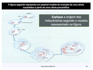 A figura seguinte representa um possível modelo de evolução de uma célula
               eucariótica a partir de uma célula procariótica



                                         Explique a origem das
                                    mitocôndrias segundo o modelo
                                        representado na figura.




                               Nuno Correia 2012/13                         21
 