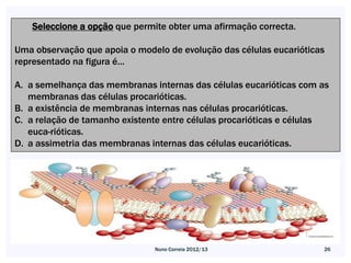 Seleccione a opção que permite obter uma afirmação correcta.

Uma observação que apoia o modelo de evolução das células eucarióticas
representado na figura é...

A. a semelhança das membranas internas das células eucarióticas com as
   membranas das células procarióticas.
B. a existência de membranas internas nas células procarióticas.
C. a relação de tamanho existente entre células procarióticas e células
   euca-rióticas.
D. a assimetria das membranas internas das células eucarióticas.




                               Nuno Correia 2012/13                  26
 