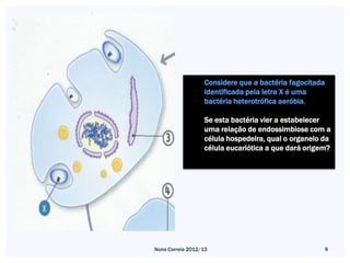 Considere que a bactéria fagocitada
                  identificada pela letra X é uma
                  bactéria heterotrófica aeróbia.

                  Se esta bactéria vier a estabelecer
                  uma relação de endossimbiose com a
                  célula hospedeira, qual o organelo da
                  célula eucariótica a que dará origem?




Nuno Correia 2012/13                                    9
 