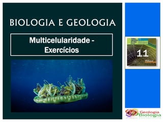 BIOLOGIA E GEOLOGIA
   Multicelularidade -
       Exercícios        11
 