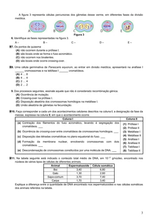 3
A figura 3 representa células percursoras dos gâmetas desse verme, em diferentes fases da divisão
meiótica.
Figura 3
6. Identifique as fases representadas na figura 3.
A – B – C – D – E –
7. Os pontos de quiasma
(A) não ocorrem durante a prófase I.
(B) são locais onde se forma o fuso acromático.
(C) não ocorrem nos bivalentes.
(D) são locais onde ocorre crossing-over.
8. Uma célula germinativa de Parascaris equorum, ao entrar em divisão meiótica, apresentará na anáfase I
______ cromossomas e na telófase I ______ cromatídeos.
(A) 4 … 8
(B) 4 … 4
(C) 2 … 4
(D) 2 … 2
9. Dos processos seguintes, assinale aquele que não é considerado recombinação génica.
(A) Ocorrência de mutação.
(B) Crossing-over na prófase I.
(C) Disposição aleatória dos cromossomas homólogos na metáfase I.
(D) União aleatória de gâmetas na fecundação.
10. Faça corresponder a cada um dos acontecimentos celulares descritos na coluna I, a designação da fase da
meiose, expressa na coluna II, em que o acontecimento ocorre.
Coluna I Coluna II
(a) Contração dos filamentos do fuso acromático, levando à segregação dos
cromatídeos. ___
(b) Ocorrência de crossing-over entre cromatídeos de cromossomas homólogos. ___
(c) Disposição das tétradas cromatídicas no plano equatorial do fuso. ___
(d) Formação da membrana nuclear, envolvendo cromossomas com dois
cromatídeos. ___
(e) Descondensação de cromossomas constituídos por uma molécula de DNA. ___
(1) Prófase I
(2) Prófase II
(3) Metáfase I
(4) Metáfase II
(5) Anáfase I
(6) Anáfase II
(7) Telófase I
(8) Telófase II
11. Na tabela seguinte está indicado o conteúdo total médio de DNA, em 10-17 g/núcleo, encontrado nos
núcleos de vários tipos de células de diferentes animais.
Animal Espermatozoide Célula somática
Boi 3,40 6,80
Galo 1,30 2,60
Sapo-comum 3,70 7,40
Carpa 1,70 3,40
Explique a diferença entre a quantidade de DNA encontrado nos espermatozoides e nas células somáticas
dos animais referidos na tabela.
 