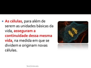    As células, para além de
    serem as unidades básicas da
    vida, asseguram a
    continuidade dessa mesma
    vida, na medida em que se
    dividem e originam novas
    células.


                Nuno Correia 10/11
 