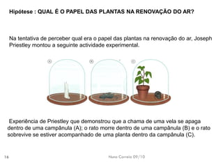 Nuno Correia 09/10 
16 
Hipótese : QUAL É O PAPEL DAS PLANTAS NA RENOVAÇÃO DO AR? 
Na tentativade perceberqual erao papeldas plantasna renovaçãodo ar, JosephPriestleymontou aseguinte actividadeexperimental. 
Experiência dePriestleyque demonstrouque achama deuma velase apagadentro deuma campânula(A); orato morredentro deuma campânula(B) eo ratosobrevive se estiveracompanhado deuma plantadentro dacampânula (C).  