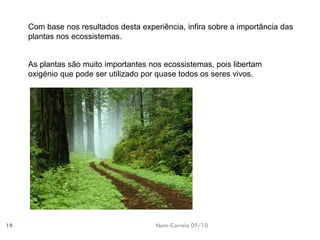 Nuno Correia 09/10 
19 
Com base nos resultados desta experiência, infirasobre aimportância dasplantas nosecossistemas. 
As plantassão muitoimportantes nosecossistemas, poislibertam oxigénioque podeser utilizadopor quasetodos osseres vivos.  
