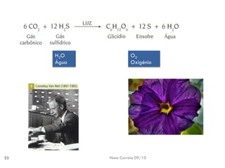 Nuno Correia 09/10 
23 
H2O 
Água 
O2 
Oxigénio  