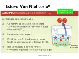 Estava VanNielcerto? 
Nuno Correia 09/10 
24 
Experiência de Calvin-1940  