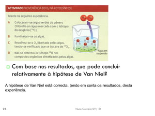 Nuno Correia 09/10 
25 
Com basenos resultados, quepode concluirrelativamente àhipótese deVanNiel? A hipótesede VanNielestá correcta, tendoem contaos resultados, destaexperiência.  