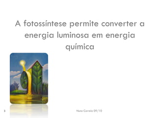 Nuno Correia 09/10 
3 
A fotossíntese permite converter a energia luminosa em energia química  