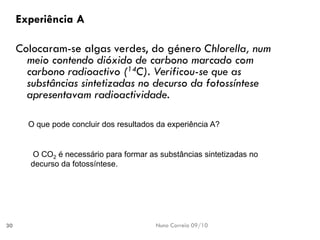 Nuno Correia 09/1030 
Experiência A 
Colocaram-se algasverdes, dogénero Chlorella, nummeio contendodióxido de carbono marcado com carbono radioactivo (14C). Verificou-se queas substânciassintetizadas nodecurso dafotossíntese apresentavamradioactividade. 
O quepode concluirdos resultadosda experiênciaA? O CO2énecessário paraformar as substâncias sintetizadas no decurso da fotossíntese.  