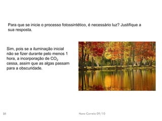 Nuno Correia 09/10 
31 
Para quese inicieo processofotossintético, énecessário luz? Justifique asua resposta. Sim, poisse ailuminação inicialnão se fizerdurante pelomenos 1 hora, aincorporação deCO2cessa, assimque asalgas passampara aobscuridade.  