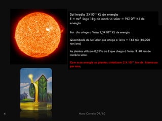Nuno Correia 09/10 
4Sol irradia 3X1031KJ de energiaE = mc2 logo 1kg de matéria solar = 9X1013KJ de energia 
Por dia atinge a Terra 1,5X1019KJ de energia 
Quantidade de luz solar que atinge a Terra = 165 ton(60.000 ton/ano) 
As plantasutilizam 0,01% daE quechega àTerra 40 tonde matériasolar. 
Com essaenergia asplantas sintetizam2 X 1011 tonde biomassa por ano.  