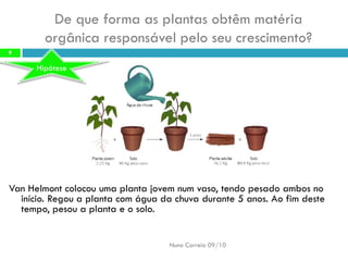 De queforma asplantas obtêmmatéria orgânicaresponsável peloseu crescimento? 
VanHelmontcolocou umaplanta jovemnum vaso, tendopesado ambosno início. Regou aplanta comágua dachuva durante5 anos. Ao fimdeste tempo, pesoua plantae osolo. 
Nuno Correia 09/10 
9 
Hipótese  