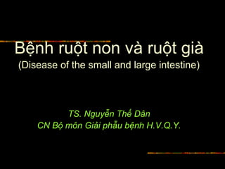 Bệnh ruột non và ruột già
(Disease of the small and large intestine)
TS. Nguyễn Thế Dân
CN Bộ môn Giải phẫu bệnh H.V.Q.Y.
 