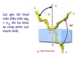 Lúc góc tới thoả
mãn điều kiện tgi
= n21 thì tia khúc
xạ cũng phân cực
mạnh nhất.
S
I
P
K
N’
N
i
900
i - Góc Brewster
 