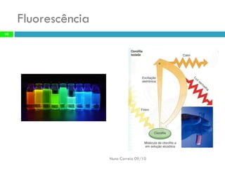 Fluorescência 
Nuno Correia 09/10 
10  