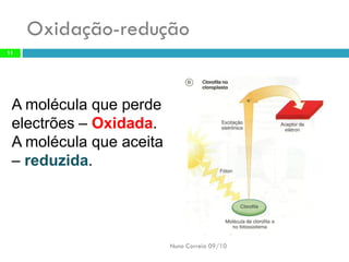 Oxidação-redução 
Nuno Correia 09/10 
11 
A molécula que perde electrões –Oxidada. 
A molécula que aceita –reduzida.  