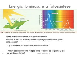 12 
Energia luminosa e a fotossíntese 
O que acontece à luz solar que incide nas folhas? 
Quais as radiações absorvidas pelas clorofilas? 
Delimite a zona do espectro onde há absorção de radiações pelos carotenóides? 
Procure estabelecer uma relação entre os dados do esquema B e a cor verde das folhas? 
Nuno Correia 09/10  