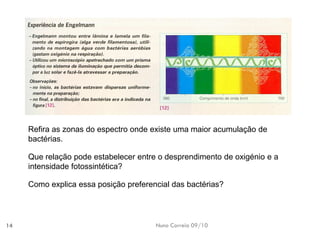 Nuno Correia 09/10 
14 
Refira as zonas do espectro onde existe uma maior acumulação de bactérias. 
Como explica essa posição preferencial das bactérias? 
Que relação pode estabelecer entre o desprendimento de oxigénio e a intensidade fotossintética?  