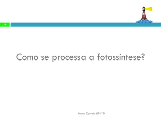Como se processaa fotossíntese? 
Nuno Correia 09/10 
16  