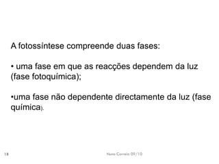 Nuno Correia 09/10 
18 
A fotossíntesecompreende duasfases: 
•uma fase em que as reacções dependem da luz (fase fotoquímica); 
•uma fasenão dependentedirectamente daluz (fasequímica).  