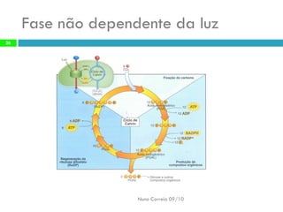 Fase nãodependente daluz 
Nuno Correia 09/10 
26  