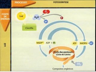 Nuno Correia 09/10 
28 
