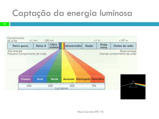Captação da energia luminosaNuno Correia 09/10 
8  