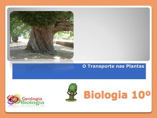 O Transporte nas Plantas




Biologia 10º
 