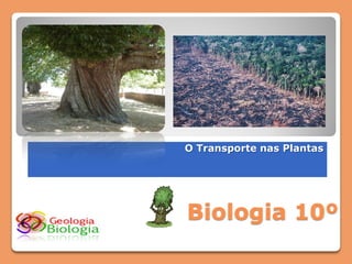 O Transporte nas Plantas




Biologia 10º
 