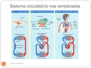 Sistema circulatório nos vertebrados




13   Nuno Correia 09-10
 