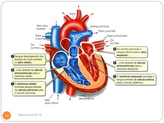 16   Nuno Correia 09-10
 