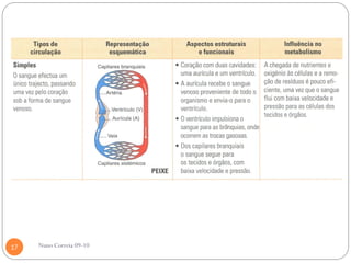 17   Nuno Correia 09-10
 
