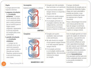 18   Nuno Correia 09-10
 
