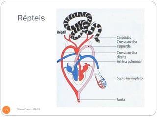 Répteis




21   Nuno Correia 09-10
 