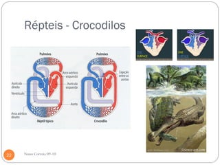 Répteis - Crocodilos




22   Nuno Correia 09-10
 