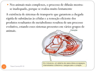  Nos animais mais complexos, o processo de difusão mostra-
      se inadequado, porque se realiza muito lentamente
    A existência de sistemas de transporte que garantem a chegada
    rápida de substâncias às células e a remoção eficiente dos
    produtos resultantes do metabolismo resultou de um processo
    evolutivo, estando esses sistemas presentes em vários grupos de
    animais.




4      Nuno Correia 09-10
 