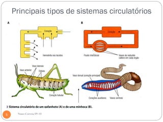 Principais tipos de sistemas circulatórios




5    Nuno Correia 09-10
 