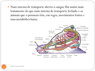  Num sistema de transporte aberto o sangue flui muito mais
      lentamente do que num sistema de transporte fechado e os
      animais que o possuem têm, em regra, movimentos lentos e
      taxa metabólica baixa.




9     Nuno Correia 09-10
 