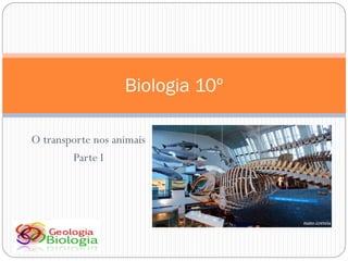 Biologia 10º

O transporte nos animais
        Parte I
 