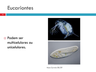 Eucariontes
11




        Podem ser
         multicelulares ou
         unicelulares.




                             Nuno Correia 08/09
 