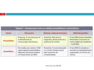 13




     Nuno Correia 08/09
 