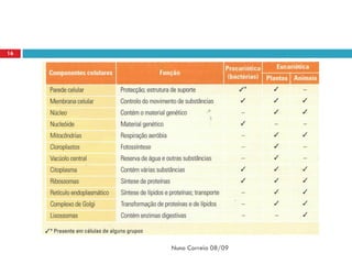 16




     Nuno Correia 08/09
 