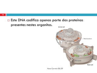 18


        Este DNA codifica apenas parte das proteínas
         presentes nestes organitos.




                               Nuno Correia 08/09
 