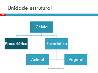 Unidade estrutural
19




                      Célula


     Procariótica            Eucariótica


                    Animal                          Vegetal
                               Nuno Correia 08/09
 