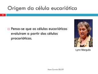 Origem da célula eucariótica
20




        Pensa-se que as células eucarióticas
         evoluíram a partir das células
         procarióticas.

                                                     Lynn Margulis




                                Nuno Correia 08/09
 