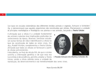 5




    Nuno Correia 08/09
 